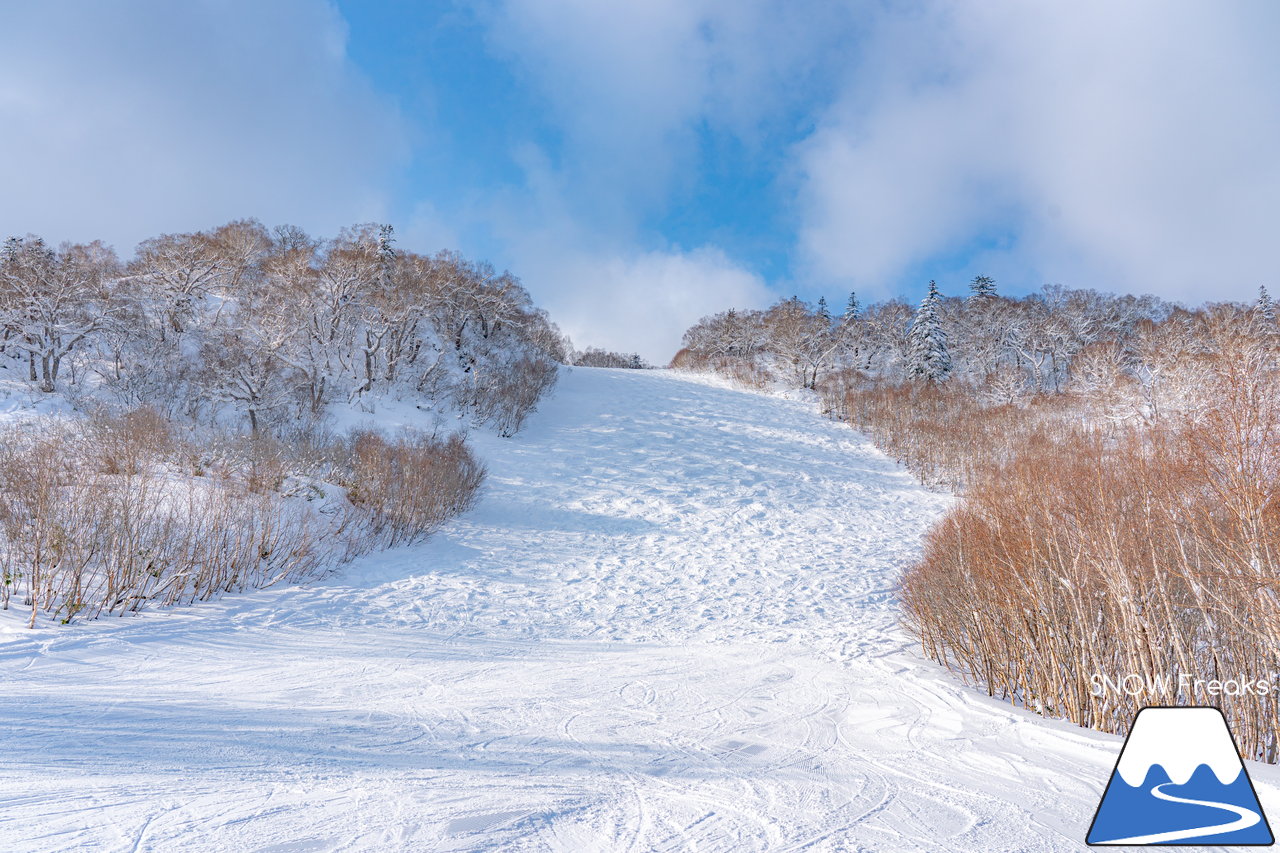 札幌国際スキー場｜積雪100cm超え！名物の急斜面『ダウンヒルコース』を含む、全てのコースが気持ち良～く滑走可能です(^^)/